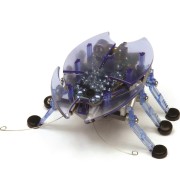 HEXBUG Beetle kék