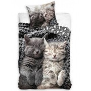 Gyerek ágynemű fotónyomat Macskák