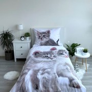 Ágynemű fotónyomat Kitten grey
