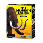 Mamut ásatás – összerakható csontvázzal