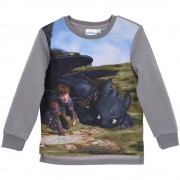 Gyerek pulóver Így neveld a sárkányodat, szürke