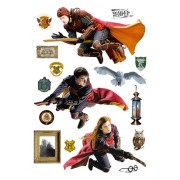 Harry Potter Kviddics 65 x 85 cm fali dekoráció