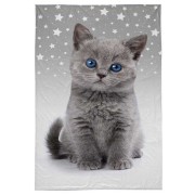 Gyermek törölköző Kiscica Grey